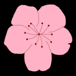 WWW,se972·COM网站APPAPP应用